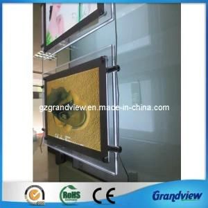 Suspending Crystal Picture Panels (double side picture display)