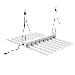 Samsung Epistar Factory Price Manufacturer LED Plant Grow Light From China