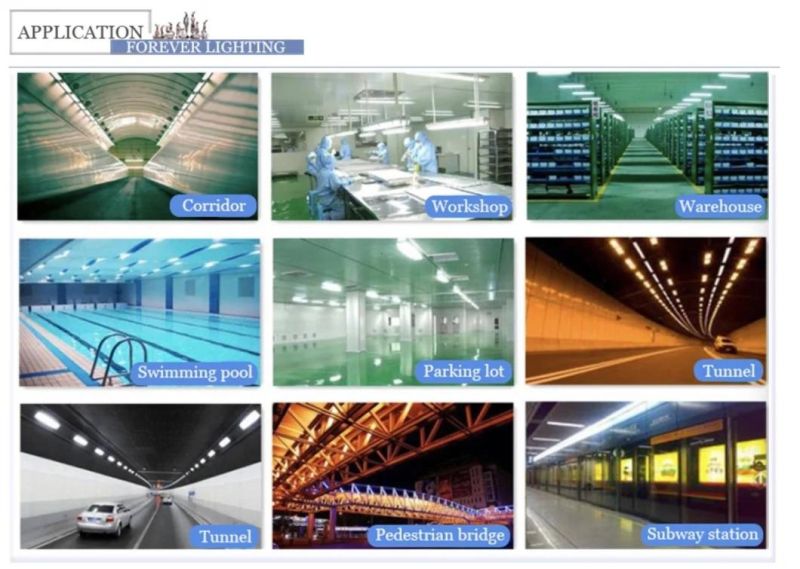 LED Industrial Shop Light 40W Daylight IP65 Waterproof for Basement Working Area Car Shop
