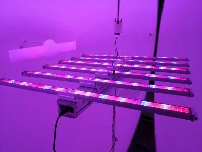 Hot Sells Tomato Hydroponic Plants 600W LED Grow Light