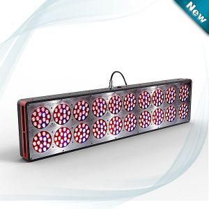 Polo 20 LED Grow Lights Best for Your Indoor Planting