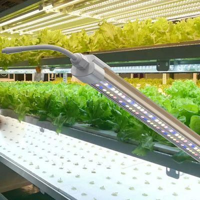 Indoor Wholesale Samsung Horticultural Bar Lighting Full Spectrum LED Grow Light Pvisung T8 Grow Light