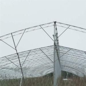 OEM LED Grow Light Ventilation with Mushroom Greenhouse