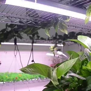 18W 40W 60W Greenhouse Hydroponic Horticulture Growing Plant Tube 2FT 3FT 4FT Full Spectrum T8 LED Grow Tube Light