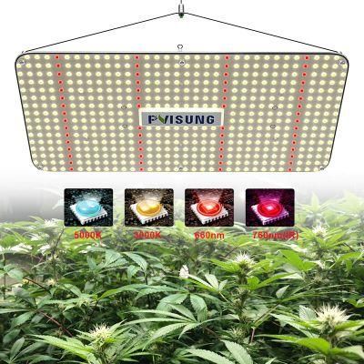 Samsung Strip Indoor Quantum High Power Horticulture Board Lamp Full Spectrum Growing Plant Wholesale LED Grow Light Pvisung LED Horticulture
