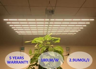 2021 New Model LED Grow Light 640W Full Spectrum LED Plant Light for Indoor Growing Light