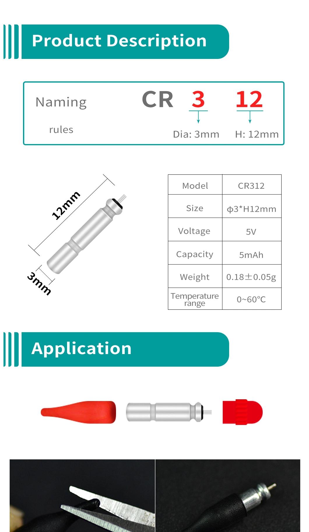 China Manufacturer Dlyfull Direct CR312 Night Fishing Needle Fishing Gear Battery