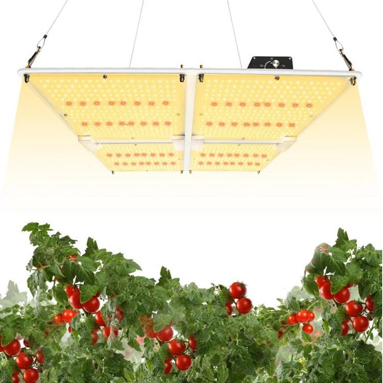 Lm301b V2 Dimmable LED Grow Light Indoor Hydroponics Grow Tent Using LED Panel Light
