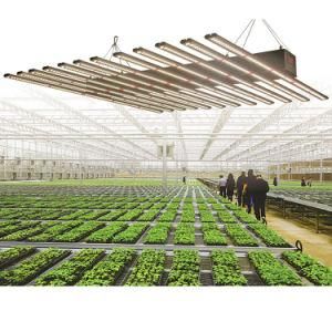 Bluetooth Dimmable DIY LED Plant Grow Light Strip 750W ETL Grow Light LED