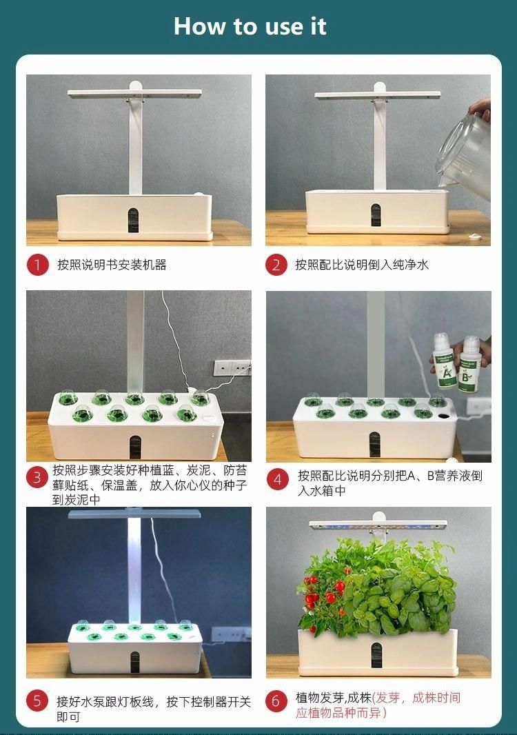 2021 New Design Big Smart Garden Indoor Outdoor Hydroponics Equipment Tomato Cucumber LED Light