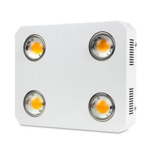 High Efficiency 300W 600W 900W 3500K 5000K Optional Ctizen048 1212 Grow Light for Greenhouse