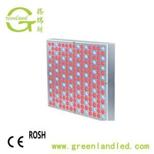 Newest Greenhouse Vegetative Control 45W LED Grow Lights