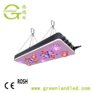 &#160; High Quality 400W COB Apollo LED Grow Lighting with Full Spectrum for Greenhouse Plant