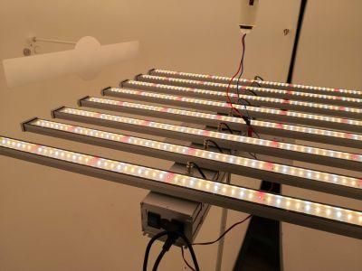 Factory Price Greenhouse LED Grow Lights Bar for Indoor Plants 50W/100W/200W/300W/400W/500W/600W/700W/800W/900W/1000W