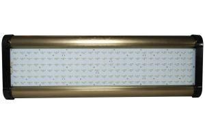 300W High Power LED Grow Light CE RoHS Approvaled Plant LED Grow Light