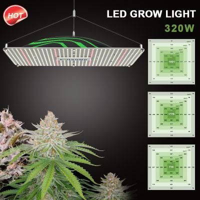 China Factory Wholesale 320W Watt Full Spectrum Samsung Greenhouse Hydroponic Systems Plant Lamp LED Grow Light Pvisung Quantum Grow Lights