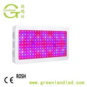 Greenhouses Square Indoor 800W LED Grow Light for Plants&#160;