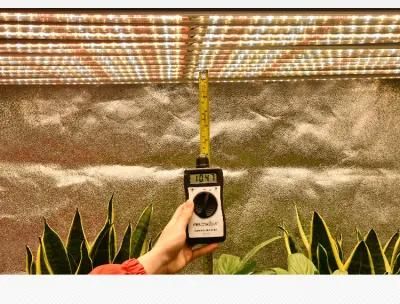 LED Grow Light Full Spectrum LED Plant Growth Light Gardening Light-Compensating Lamp