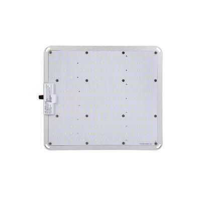 480V Dimmable Full Spectrum Waterproof LED Grow Light for Indoor Plants Greenhouse