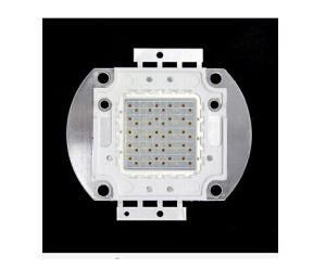Cheap 50W Integrated COB LED Grow Light Chip for Sale Red 660nm, Blue 460nm Epileds Chip, 2 Years Warranty