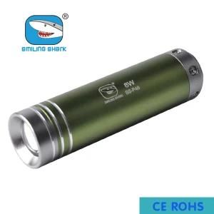 Super Mini LED Camping Flashlight Torch