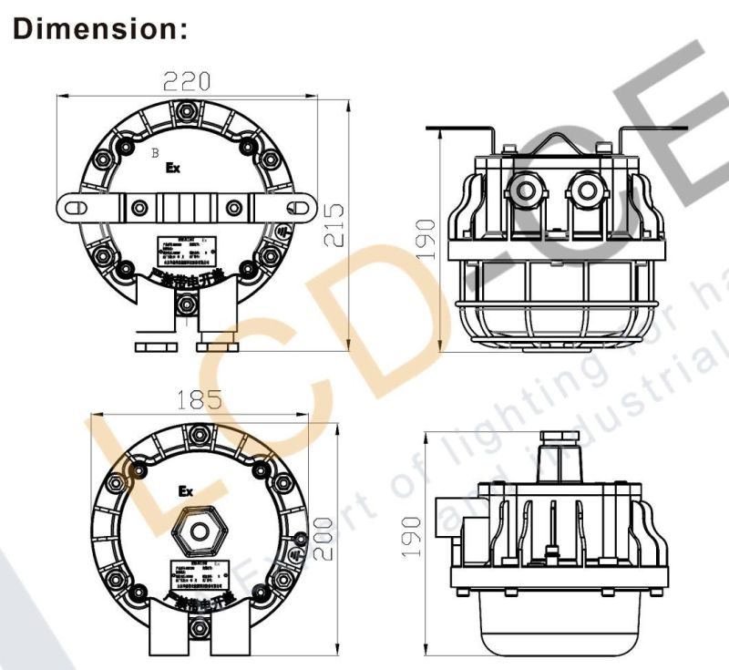 LED Light Explosion Proof LED Outdoor Lighting Bulkhead 20W 220V 6500K 2400lm IP66 Ik09 5years Warranty with UL TUV Ce Certificates MW Driver and 3030SMD
