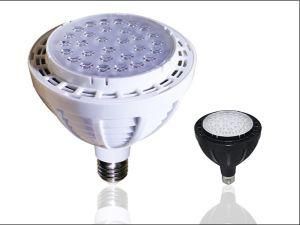 30W LED PAR30 Lamp with CE Rohs