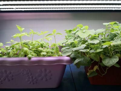 High Quality 600W/800W/900W/1000W/1200W LED Grow Light Bar Hydroponic IP65 ETL/UL