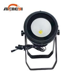 IP65 Waterproof 200W Warm White COB LED PAR Light