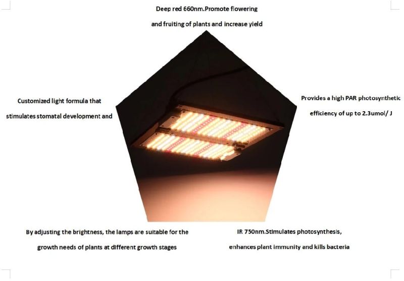 Adjustable 120W Plant Grow Panel Lamp Farming Greenhouse Horticulture Garden LED Grow Light & GOST