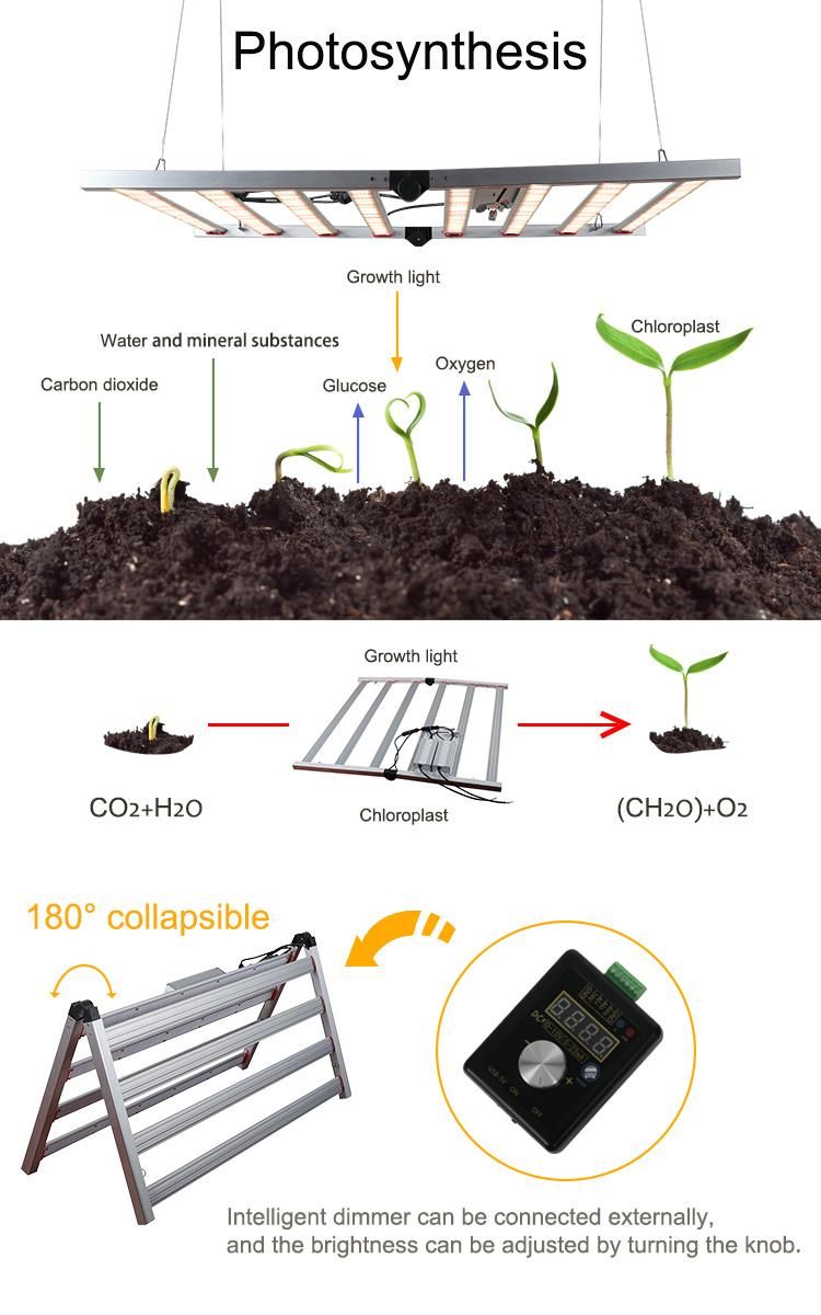 Wholesale LED Grow Panel Customized Waterproof CE RoHS 600W 1000W Grow Lighting LED Lamp High Power Full Spectrum LED Plant Grow Light