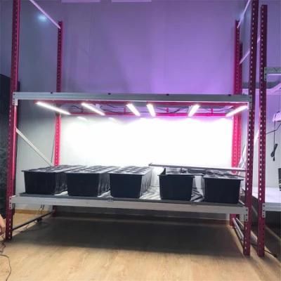500W UV LED Grow Lights for Greenhouse