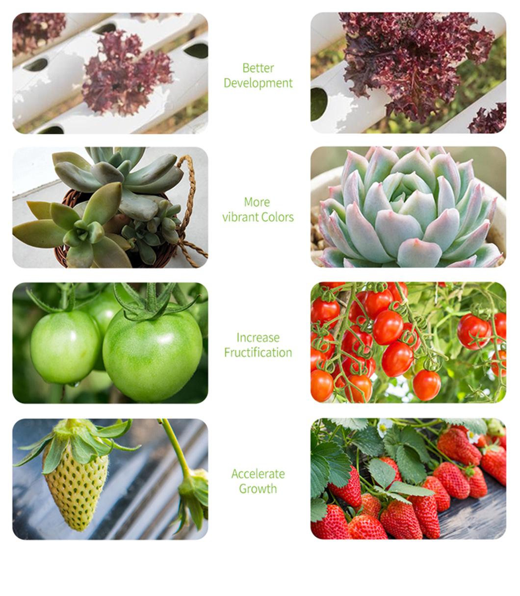 LED Plant Grow Light Quantum Board Grow Lights