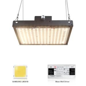 Factory Directly 75W Indoor Commercial Samsung Lm301b Quantum Board LED Grow Lights