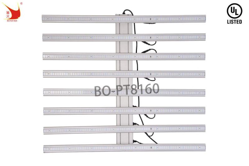 Bonfire LED Spider Lamp 600W Service with Farm UL Certification