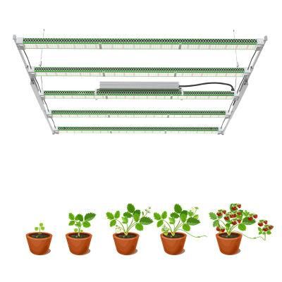 Replacing HPS ODM CE ETL RoHS Dlc High Ppfd Seeding Veg Bloom Greenhouse Light LED Grow Light Grow Light LED