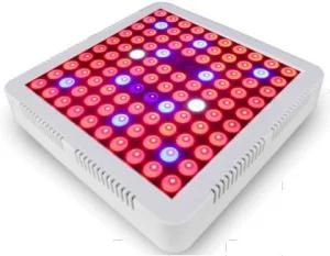 Amazon Ebay Greenhouse Acutual Power 45W 65W Hydroponic Plant Small Power LED Grow Light