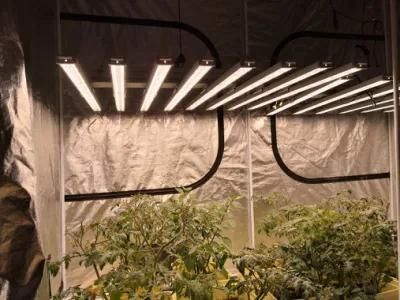 High Power 300W/400W/600W/700W/800W/900W/1000W/1200W LED Grow Lights for Medical Hemp