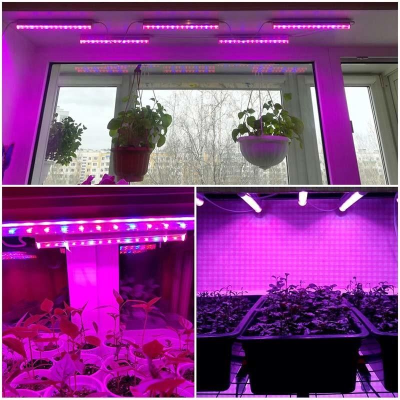 LED Plants Light 1200mm Fleshy Vegetables and Flowers Grow Light in Greenhouse T8 Lamps