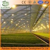 LED Grow Light Lighting System for Agriculture Greenhouse