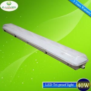 40W Epistar CE&RoHS LED Tri-Proof Light 5 Years Warranty