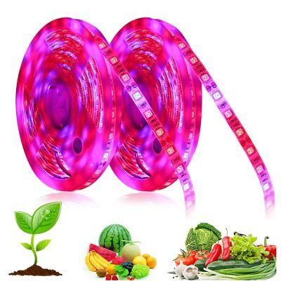 Original Factory Full Spectrum LED Grow Strip LED Plant Strip