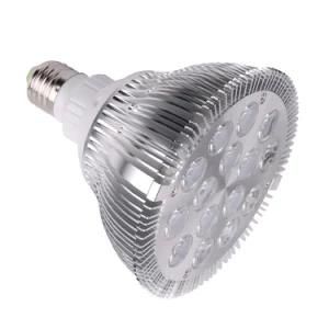 15x1w PAR38 LED PAR Light (UU1141)