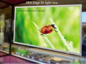 LED Light Box