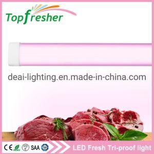 Waterproof 30W 60cm Aluminum Hanging Batten LED Tri-Proof Light