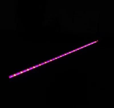 High Quality Greenhouse LED Grow Light for Hydroponic