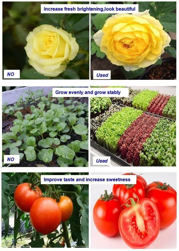 Vertical Farm Hydroponics Full Spectrum LED Grow Tube