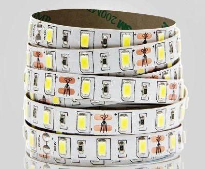 Candor Shanghai Factory 24V LED Strip Light High Quality Wholesale Price Lighting