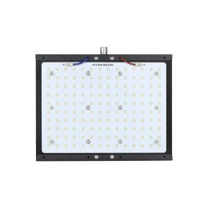 Amazon Hot Selling Meanwell Samsung Lm301b 301h Quantum Board LED Grow Light for Hydroponic Growing
