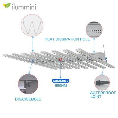 New 600W 640W 301b 301h Full Spectrum COB Grow Bar Light for Indoors Plants